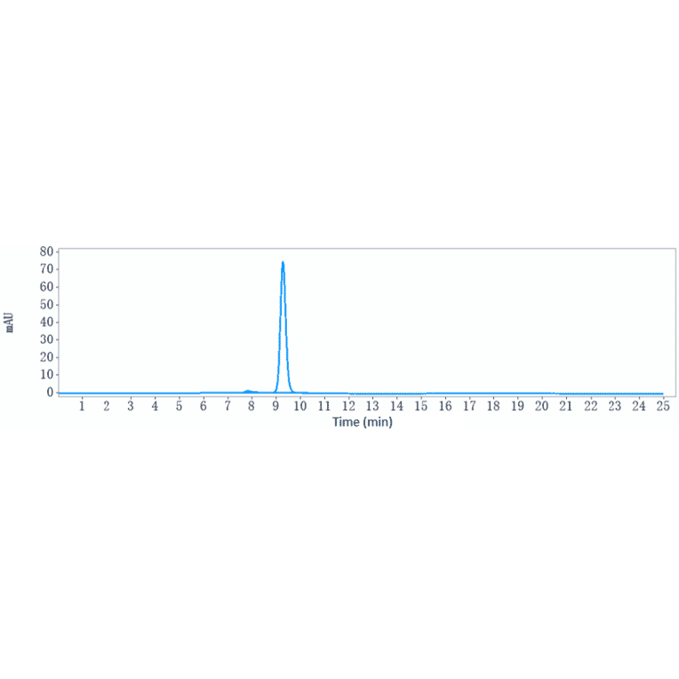 SEC-HPLC - Fulranumab Biosimilar - Anti-NGF Antibody - Low endotoxin, Azide free (A323464) - Antibodies.com