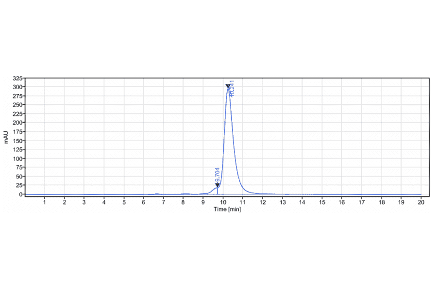 SEC-HPLC - Galiximab Biosimilar - Anti-CD80 Antibody - Low endotoxin, Azide free (A323466) - Antibodies.com