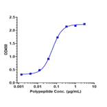 ELISA - Gantenerumab Biosimilar - Anti-beta Amyloid Antibody - Low endotoxin, Azide free (A323469) - Antibodies.com