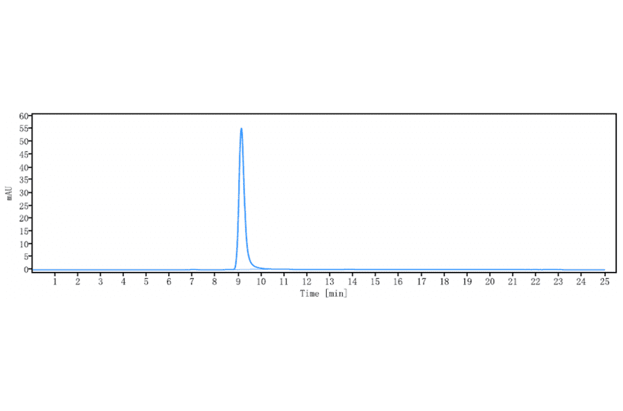 SEC-HPLC - Garadacimab Biosimilar - Anti-Factor XII Antibody - Low endotoxin, Azide free (A323470) - Antibodies.com