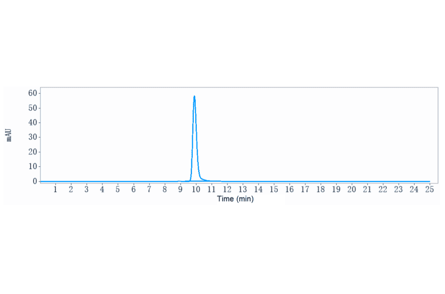 SEC-HPLC - Garivulimab Biosimilar - Anti-PD-L1 Antibody - Low endotoxin, Azide free (A323472) - Antibodies.com