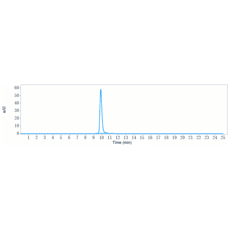 SEC-HPLC - Garivulimab Biosimilar - Anti-PD-L1 Antibody - Low endotoxin, Azide free (A323472) - Antibodies.com