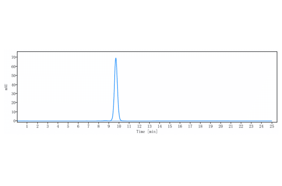 SEC-HPLC - Gemtuzumab-CLM Biosimilar - Anti-CD33 Antibody - Low endotoxin, Azide free (A323476) - Antibodies.com