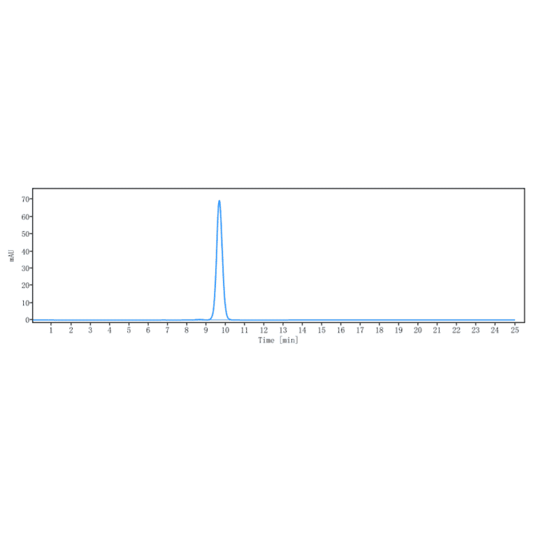 SEC-HPLC - Gemtuzumab-CLM Biosimilar - Anti-CD33 Antibody - Low endotoxin, Azide free (A323476) - Antibodies.com