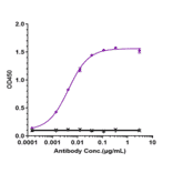 ELISA - Gemtuzumab-CLM Biosimilar - Anti-CD33 Antibody - Low endotoxin, Azide free (A323476) - Antibodies.com