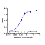 ELISA - Guselkumab Biosimilar - Anti-IL-23 Antibody - Low endotoxin, Azide free (A323489) - Antibodies.com