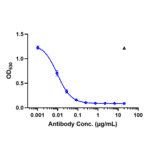 Function:Luciferase - Guselkumab Biosimilar - Anti-IL-23 Antibody - Low endotoxin, Azide free (A323489) - Antibodies.com