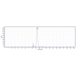 SDS-PAGE - Ianalumab Biosimilar - Anti-BAFF-R Antibody - Low endotoxin, Azide free (A323491) - Antibodies.com