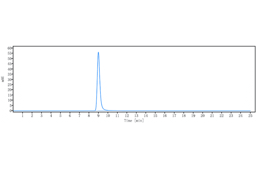 SEC-HPLC - Ianalumab Biosimilar - Anti-BAFF-R Antibody - Low endotoxin, Azide free (A323491) - Antibodies.com