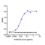 ELISA - Ianalumab Biosimilar - Anti-BAFF-R Antibody - Low endotoxin, Azide free (A323491) - Antibodies.com