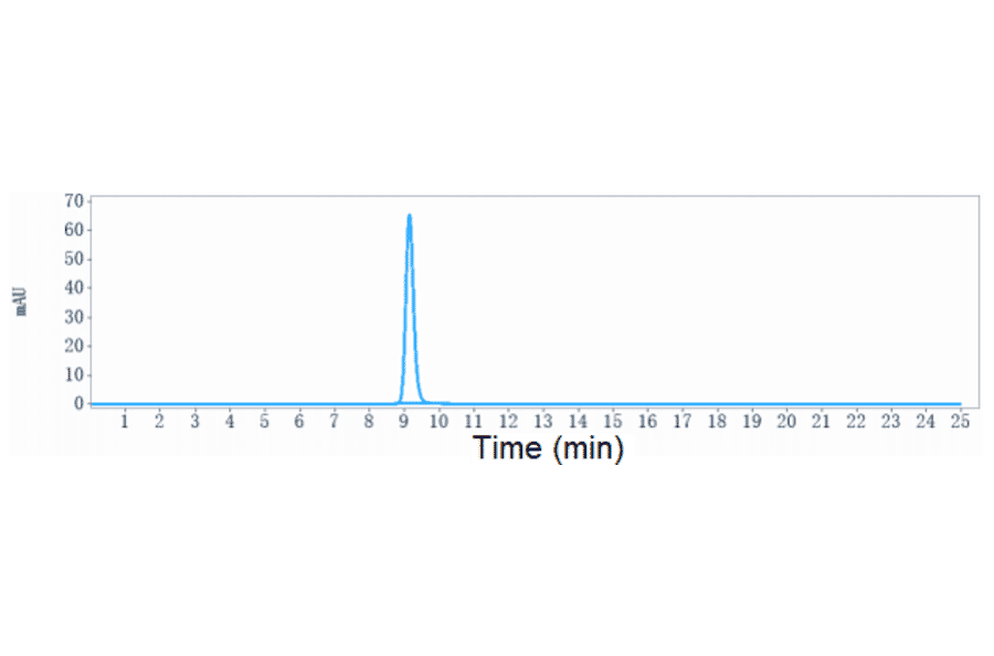 SEC-HPLC - Ibalizumab Biosimilar - Anti-CD4 Antibody - Low endotoxin, Azide free (A323492) - Antibodies.com