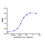 ELISA - Icatolimab Biosimilar - Anti-CD272/BTLA Antibody - Low endotoxin, Azide free (A323494) - Antibodies.com