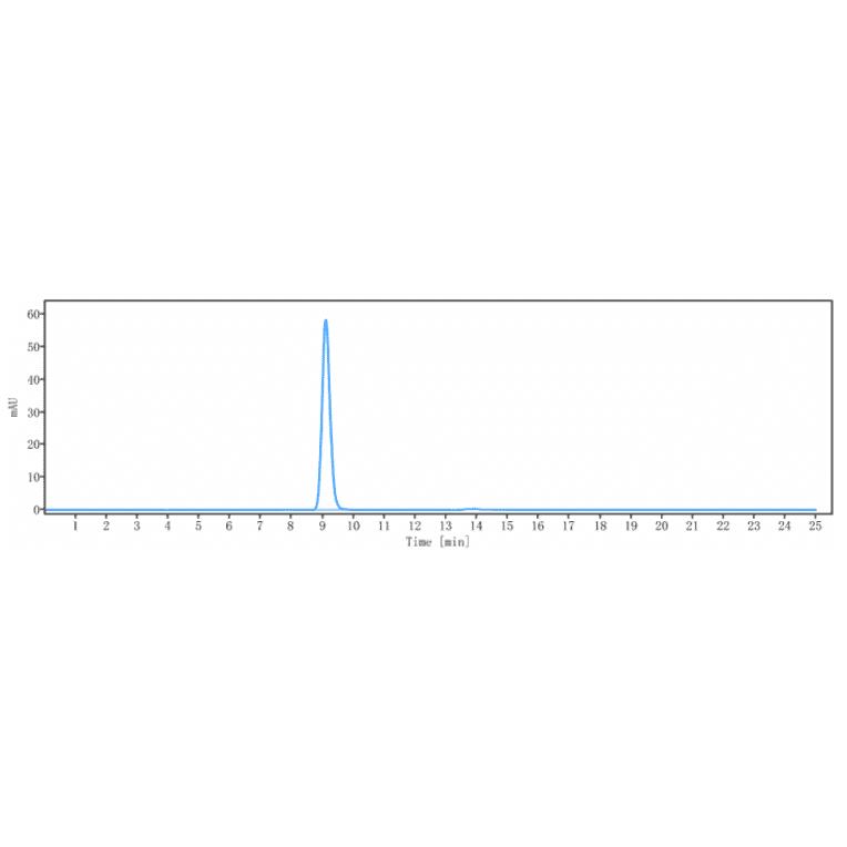 SEC-HPLC - Ifabotuzumab Biosimilar - Anti-Eph Receptor A3 Antibody - Low endotoxin, Azide free (A323498) - Antibodies.com