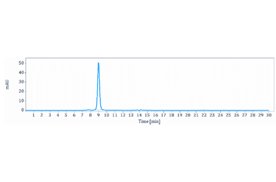 SEC-HPLC - Imalumab Biosimilar - Anti-MIF Antibody - Low endotoxin, Azide free (A323501) - Antibodies.com