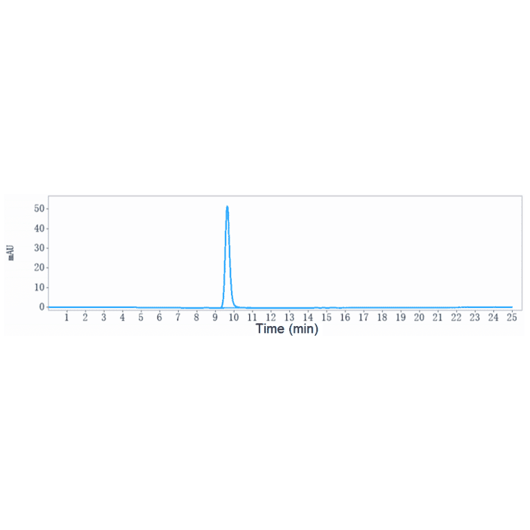 SEC-HPLC - Imgatuzumab Biosimilar - Anti-EGFR Antibody - Low endotoxin, Azide free (A323503) - Antibodies.com