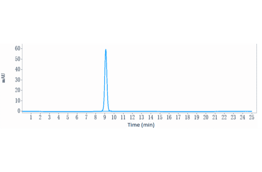SEC-HPLC - Inclacumab Biosimilar - Anti-CD62P Antibody - Low endotoxin, Azide free (A323505) - Antibodies.com