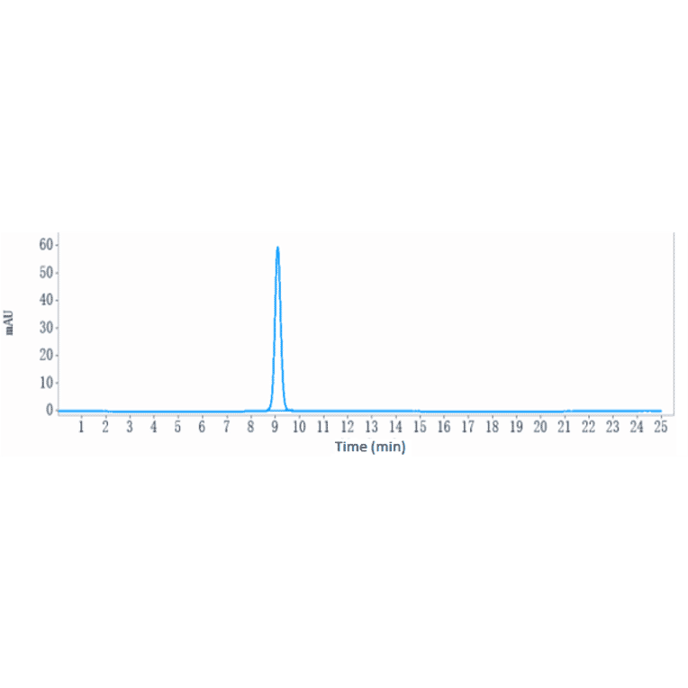 SEC-HPLC - Inclacumab Biosimilar - Anti-CD62P Antibody - Low endotoxin, Azide free (A323505) - Antibodies.com