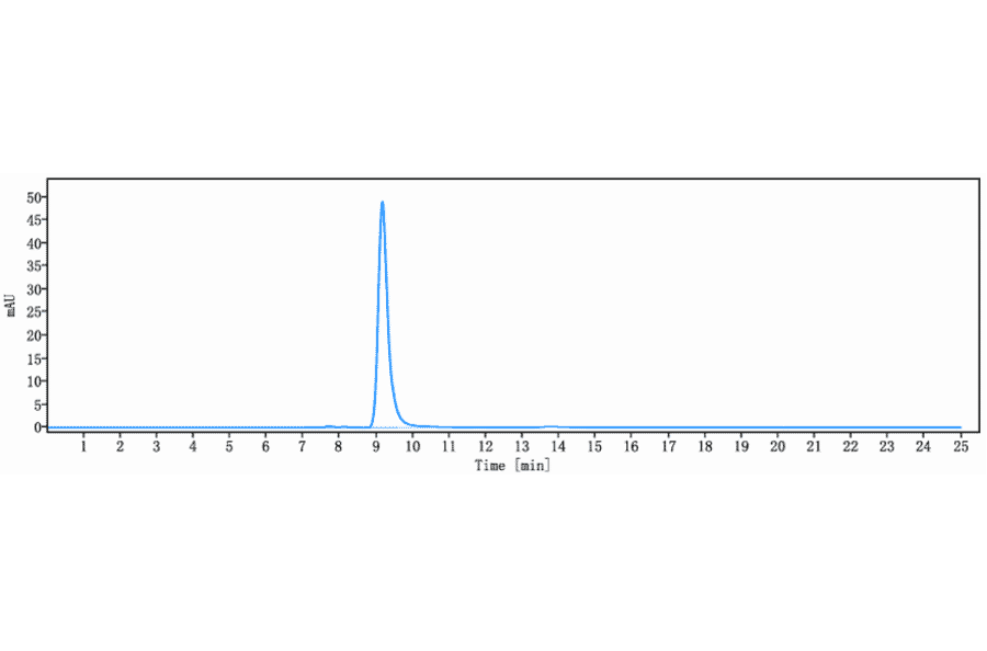 SEC-HPLC - Indatuximab Biosimilar - Anti-Syndecan-1 Antibody - Low endotoxin, Azide free (A323506) - Antibodies.com