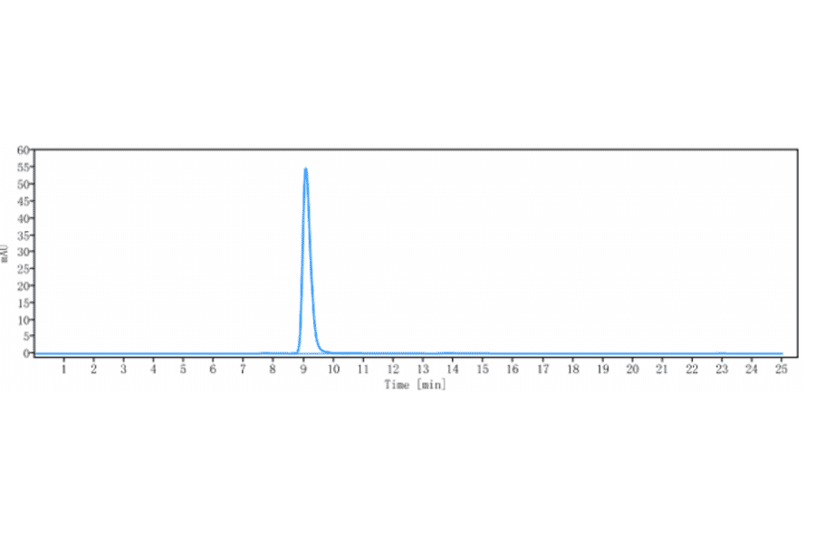 SEC-HPLC - Infliximab Biosimilar - Anti-TNF alpha Antibody - Low endotoxin, Azide free (A323510) - Antibodies.com