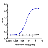 ELISA - Infliximab Biosimilar - Anti-TNF alpha Antibody - Low endotoxin, Azide free (A323510) - Antibodies.com