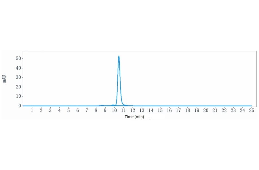 SEC-HPLC - Inotuzumab Biosimilar - Anti-CD22 Antibody - Low endotoxin, Azide free (A323512) - Antibodies.com