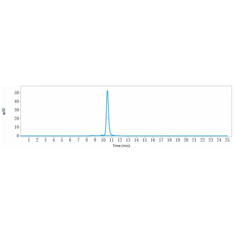 SEC-HPLC - Inotuzumab Biosimilar - Anti-CD22 Antibody - Low endotoxin, Azide free (A323512) - Antibodies.com