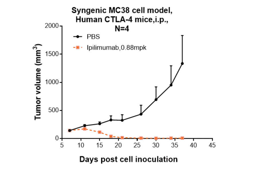 Research in vivo - Ipilimumab Biosimilar - Anti-CTLA4 Antibody - Low endotoxin, Azide free (A323516) - Antibodies.com