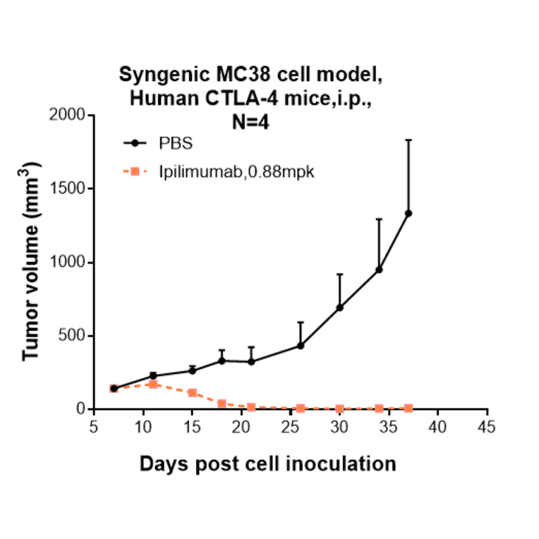 Research in vivo - Ipilimumab Biosimilar - Anti-CTLA4 Antibody - Low endotoxin, Azide free (A323516) - Antibodies.com