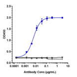 ELISA - Isatuximab Biosimilar - Anti-CD38 Antibody - Low endotoxin, Azide free (A323517) - Antibodies.com