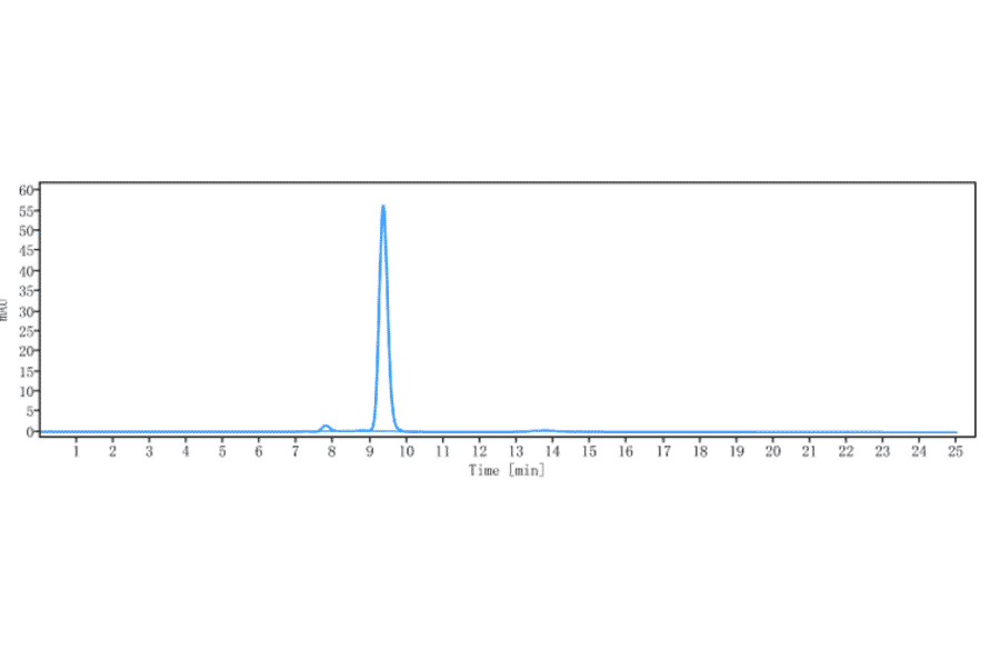 SEC-HPLC - Itepekimab Biosimilar - Anti-IL-33 Antibody - Low endotoxin, Azide free (A323519) - Antibodies.com
