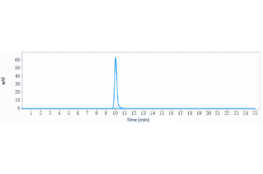 SEC-HPLC - Itolizumab Biosimilar - Anti-CD6/T12 Antibody - Low endotoxin, Azide free (A323520) - Antibodies.com