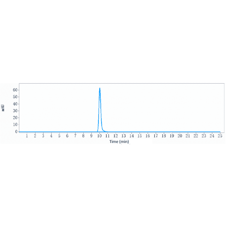 SEC-HPLC - Itolizumab Biosimilar - Anti-CD6/T12 Antibody - Low endotoxin, Azide free (A323520) - Antibodies.com