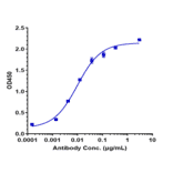 ELISA - Labetuzumab Biosimilar - Anti-CEACAM5 Antibody - Low endotoxin, Azide free (A323524) - Antibodies.com