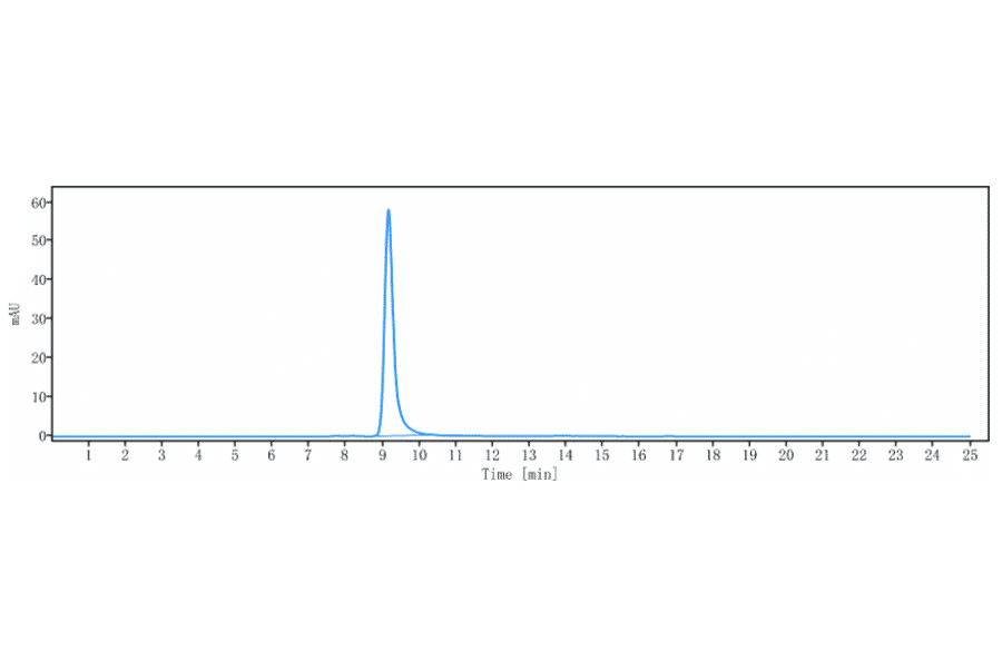 SEC-HPLC - Lacnotuzumab Biosimilar - Anti-M-CSF Antibody - Low endotoxin, Azide free (A323525) - Antibodies.com