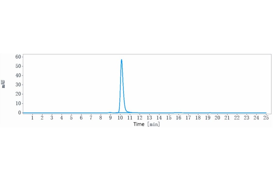 SEC-HPLC - Lacutamab Biosimilar - Anti-KIR3DL2 Antibody - Low endotoxin, Azide free (A323526) - Antibodies.com