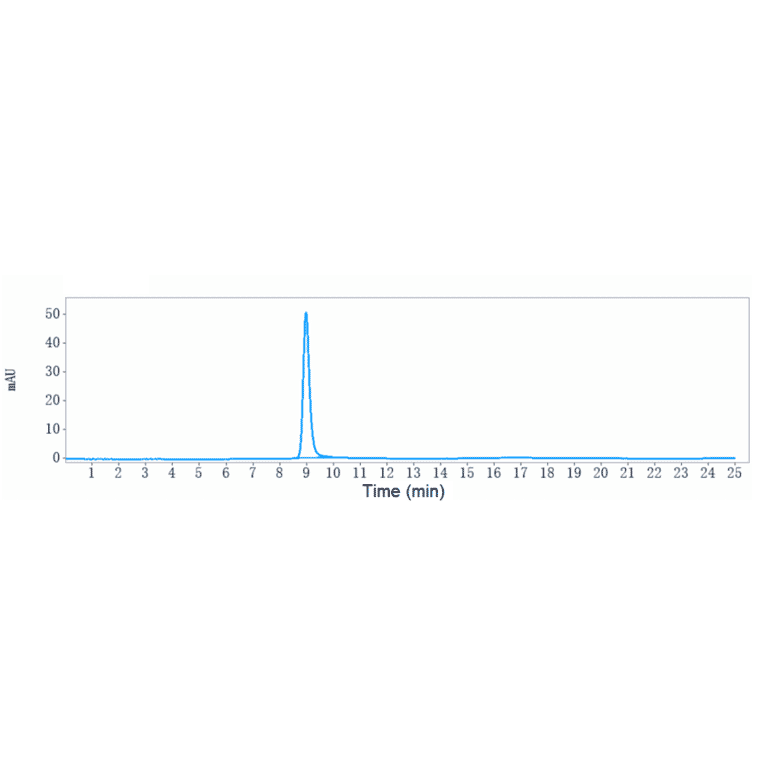 SEC-HPLC - Ladiratuzumab Biosimilar - Anti-SLC39A6/ZIP-6 Antibody - Low endotoxin, Azide free (A323528) - Antibodies.com