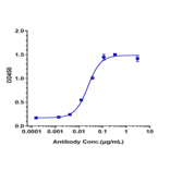 ELISA - Lampalizumab Biosimilar - Anti-Factor D/CFD Antibody - Low endotoxin, Azide free (A323529) - Antibodies.com