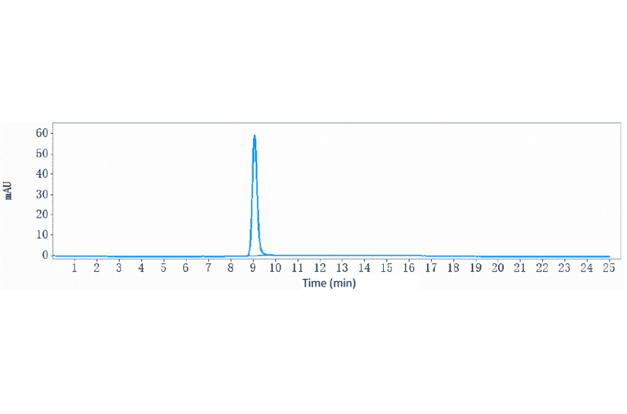 SEC-HPLC - Landogrozumab Biosimilar - Anti-GDF8/Myostatin Antibody - Low endotoxin, Azide free (A323530) - Antibodies.com