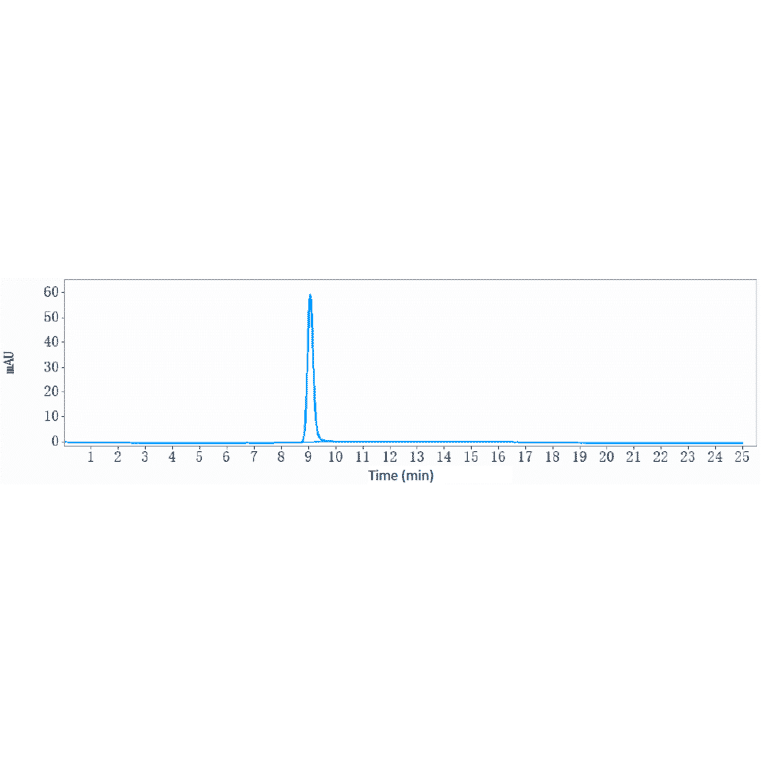 SEC-HPLC - Landogrozumab Biosimilar - Anti-GDF8/Myostatin Antibody - Low endotoxin, Azide free (A323530) - Antibodies.com