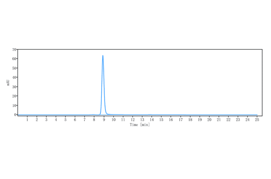 SEC-HPLC - Laprituximab Biosimilar - Anti-EGFR Antibody - Low endotoxin, Azide free (A323532) - Antibodies.com