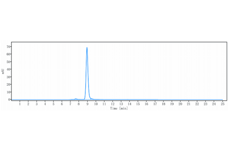 SEC-HPLC - Latozinemab Biosimilar - Anti-Sortilin/NT3 Antibody - Low endotoxin, Azide free (A323533) - Antibodies.com