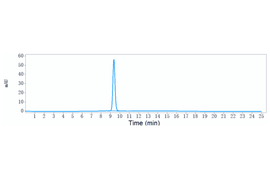 SEC-HPLC - Lecanemab Biosimilar - Anti-beta Amyloid Antibody - Low endotoxin, Azide free (A323535) - Antibodies.com