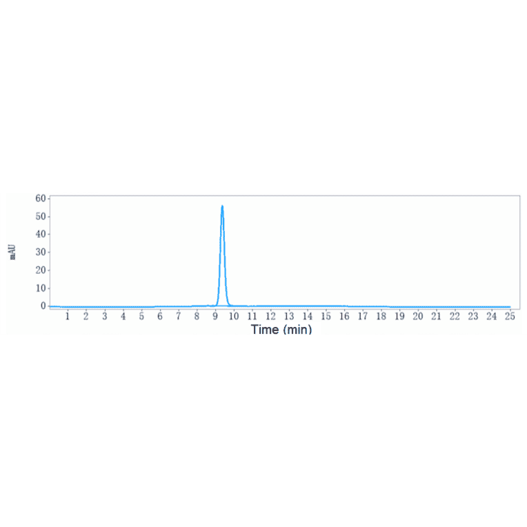 SEC-HPLC - Lecanemab Biosimilar - Anti-beta Amyloid Antibody - Low endotoxin, Azide free (A323535) - Antibodies.com