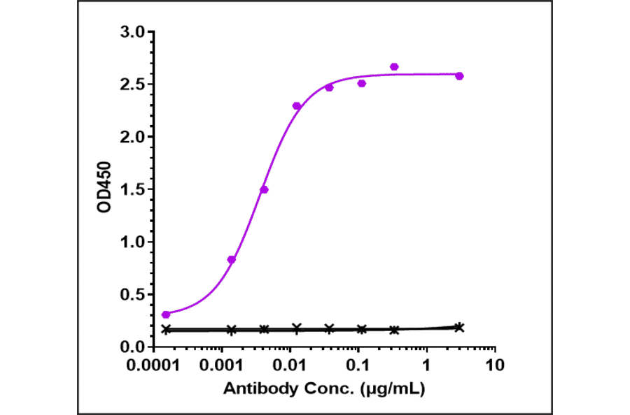 ELISA - Lecanemab Biosimilar - Anti-beta Amyloid Antibody - Low endotoxin, Azide free (A323535) - Antibodies.com