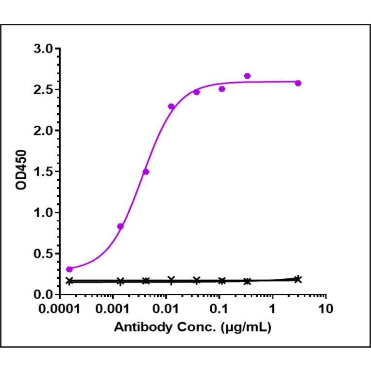 ELISA - Lecanemab Biosimilar - Anti-beta Amyloid Antibody - Low endotoxin, Azide free (A323535) - Antibodies.com