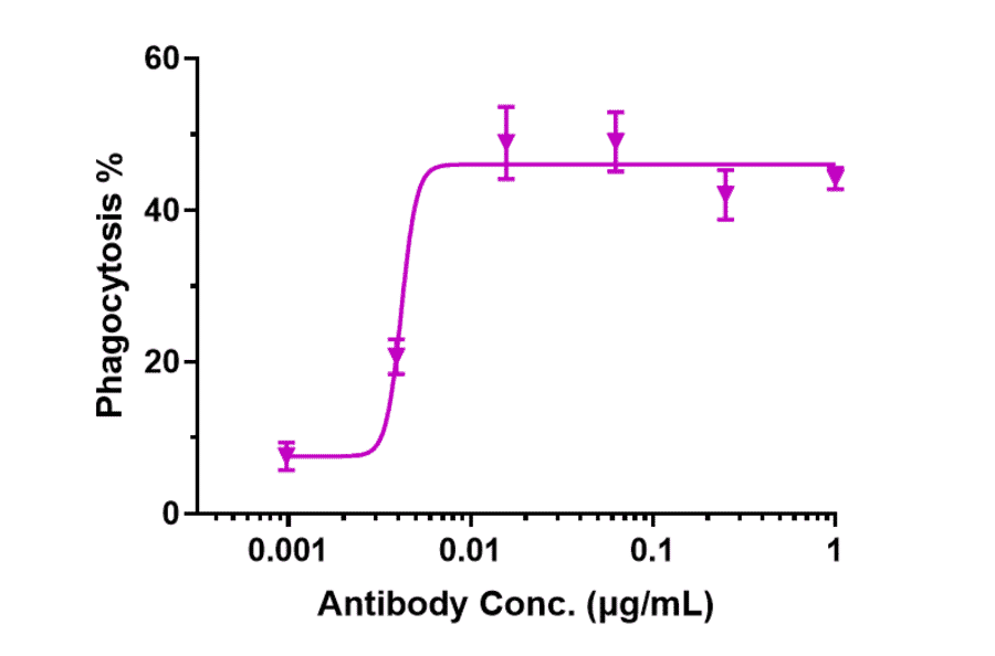 Function:ADCC - Lemzoparlimab Biosimilar - Anti-CD47 Antibody - Low endotoxin, Azide free (A323536) - Antibodies.com