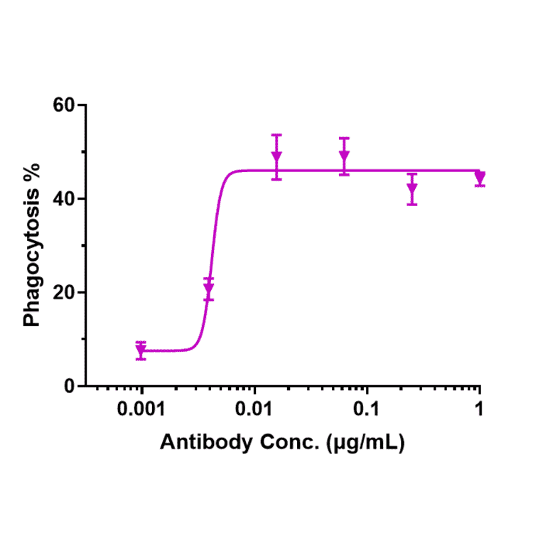 Function:ADCC - Lemzoparlimab Biosimilar - Anti-CD47 Antibody - Low endotoxin, Azide free (A323536) - Antibodies.com