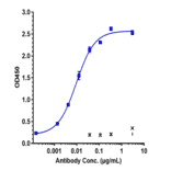 ELISA - Lenzilumab Biosimilar - Anti-GM-CSF Antibody - Low endotoxin, Azide free (A323538) - Antibodies.com