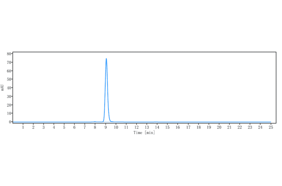 SEC-HPLC - Letaplimab Biosimilar - Anti-CD47 Antibody - Low endotoxin, Azide free (A323540) - Antibodies.com