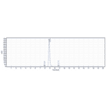 SEC-HPLC - Lexatumumab Biosimilar - Anti-DR5 Antibody - Low endotoxin, Azide free (A323542) - Antibodies.com